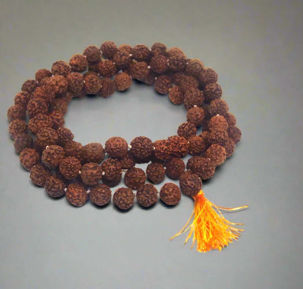5 mukhi
5 mukhi certified rudraksha
5 mukhi nepali rudraksha original
5 mukhi rudraksh
5 mukhi rudraksha5 mukhi rudraksha certified mala
5 mukhi rudraksha mala
5 mukhi rudraksha mala original
5 mukhi rudraksha original certified
nepali rudraksha 5 mukhi
original certified 5 mukhi rudraksha
rudraksh 5 mukhi original
rudraksha 5 mukhi original
rudraksha mala 5 mukhi original